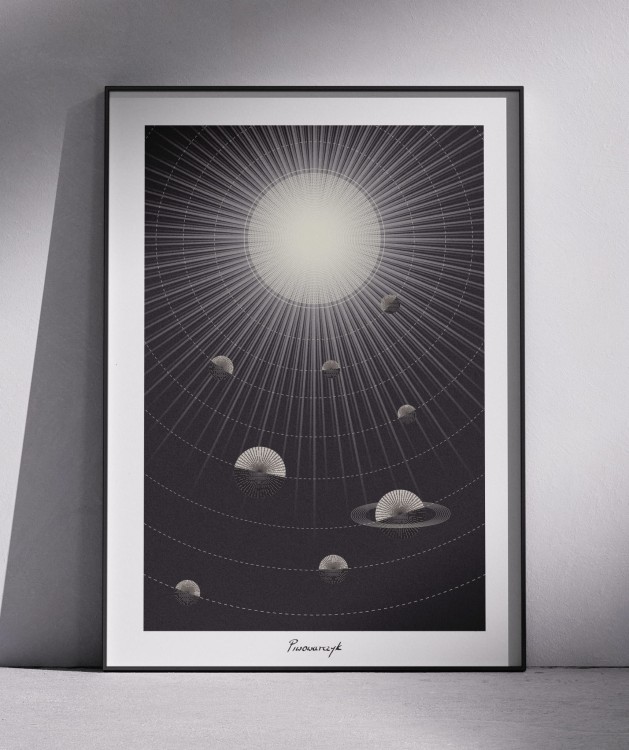 cosmos.jpg